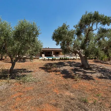 Villa Pajara Di Laura