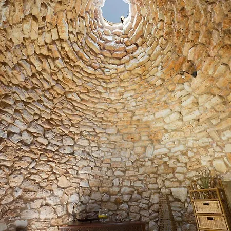 Pajara Di Laura