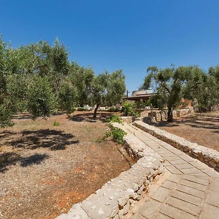 Pajara Di Laura